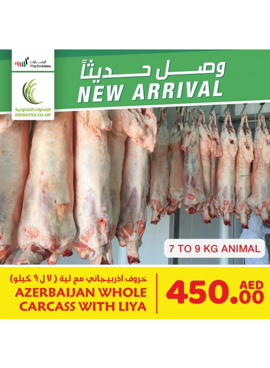 عرض خاص
