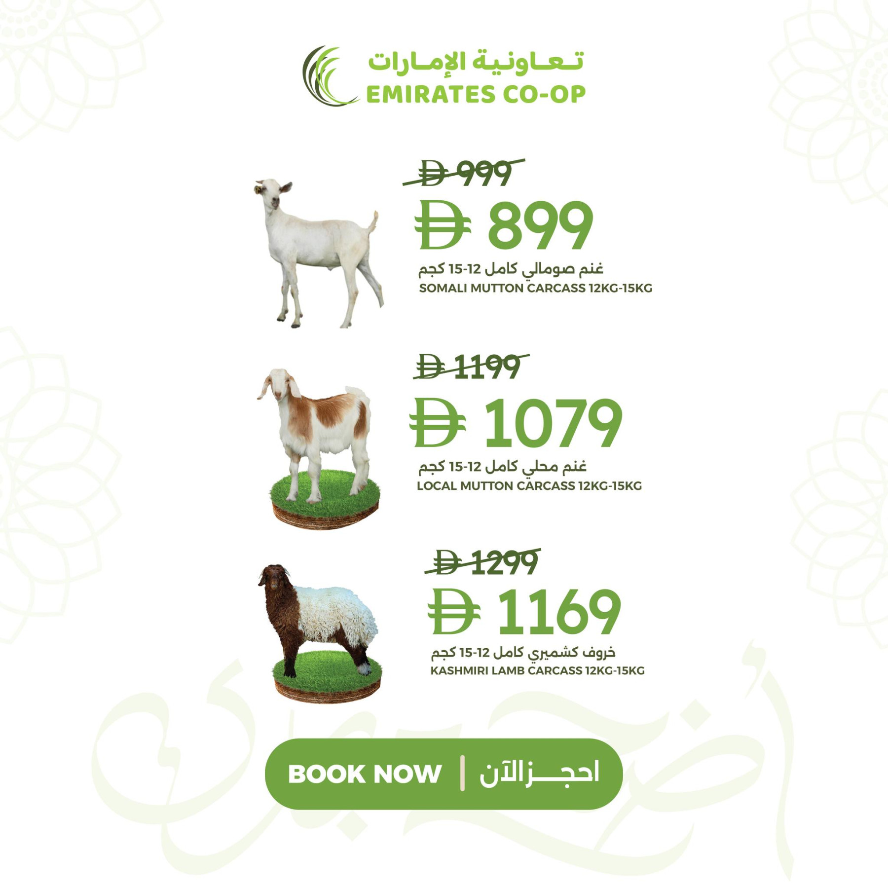 عروض الغنم والخراف من جمعية الامارات التعاونية