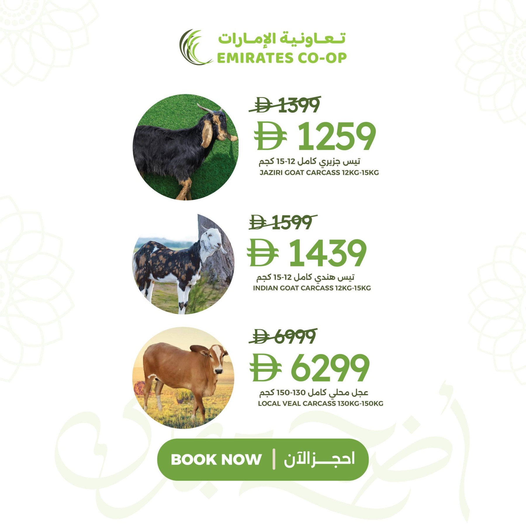 عروض التيوس والعجل من جمعية الامارات التعاونية