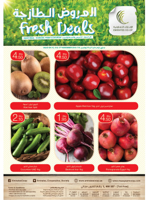 Fresh Deals