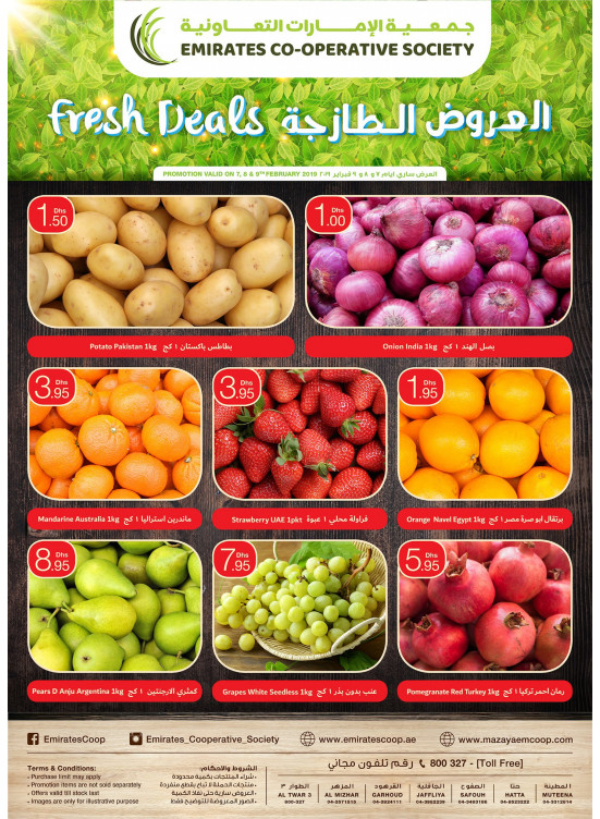 Fresh Deals