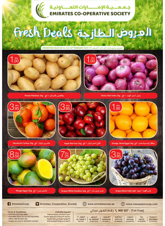 Fresh Deals