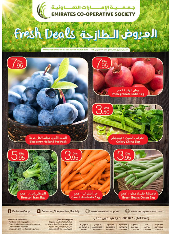 Fresh Deals