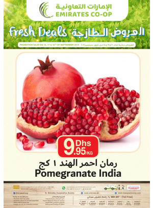 Fresh Deals