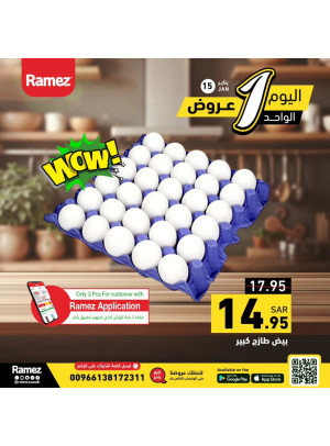 عروض اليوم الواحد