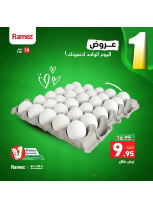 عروض اليوم الواحد