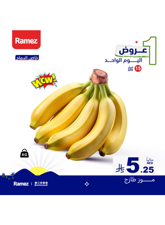 One Day Offer