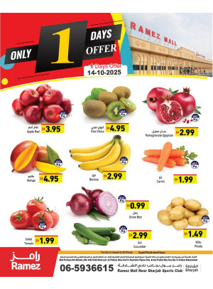 One Day Offers - Sharjah