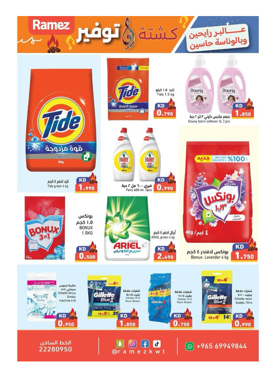 Saving Kashta, Vol 4