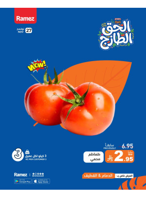 Fresh Offers - Al Dammam & Al Qatif
