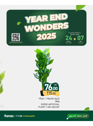 Year End Wonders Offers, Vol 2