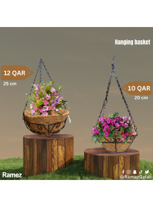 New Offers on Flower Baskets