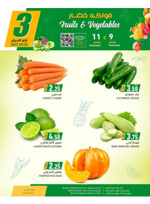 3 Days Offer