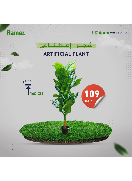 Artificial Plant Offers