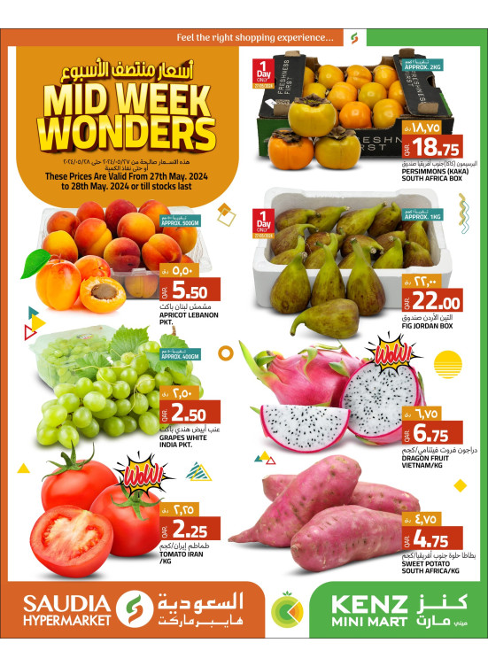 Mid-Week Wonders