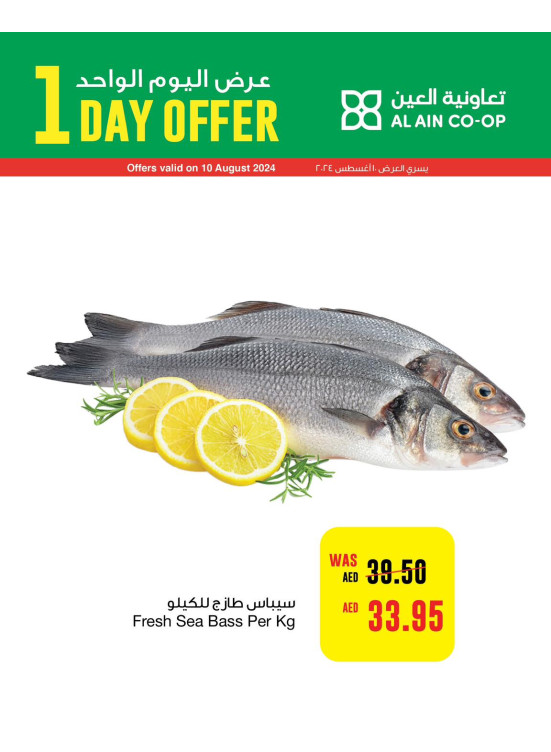 One Day Offer