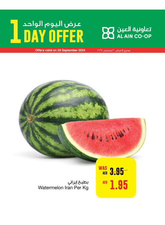 One Day Offer