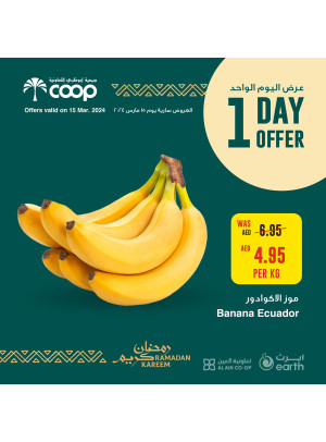 One Day Offer