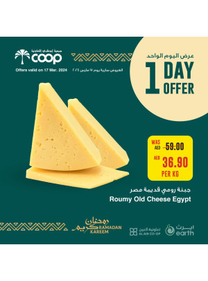 One Day Offer