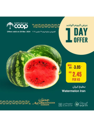 One Day Offer
