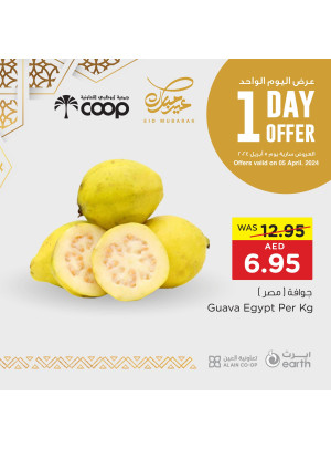One Day Offer