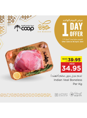 One Day Offer