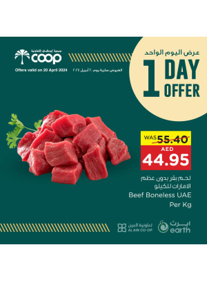 One Day Offer