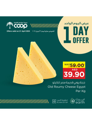 One Day Offer