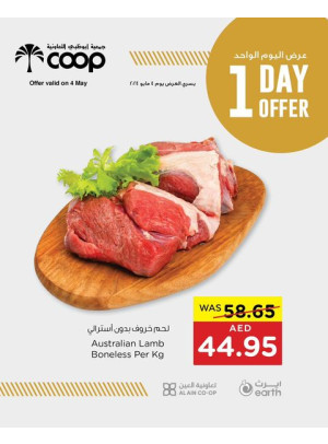 One Day Offer