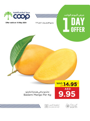 One Day Offer