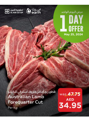 One Day Offer