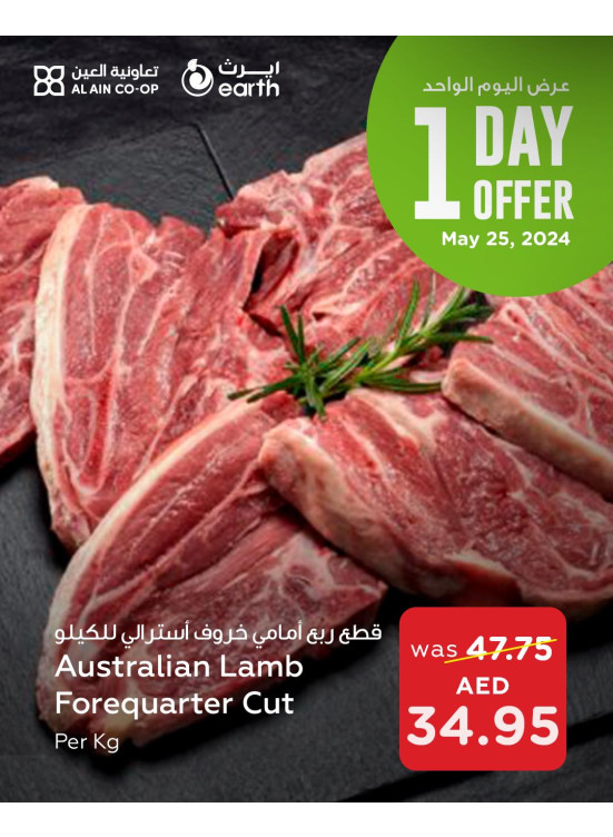 One Day Offer