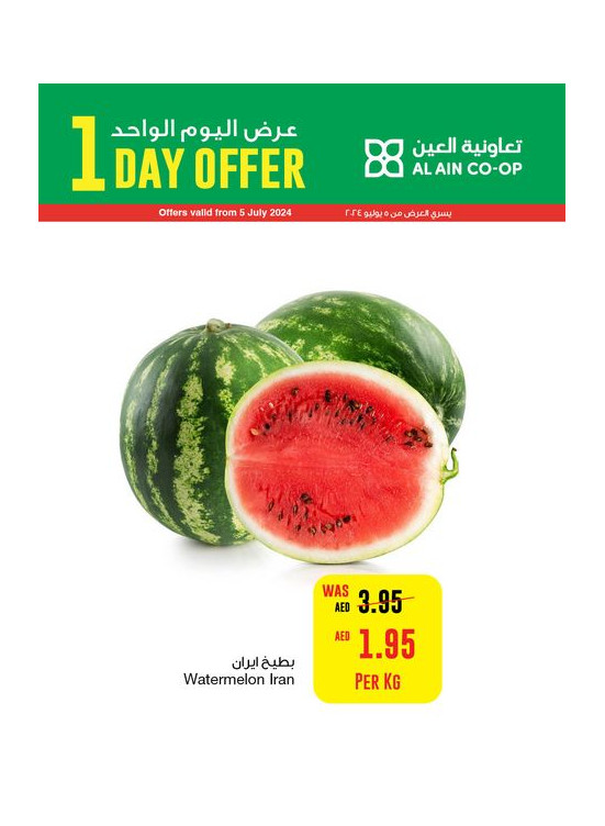 One Day Offer