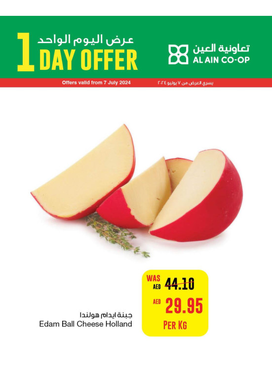 One Day Offer