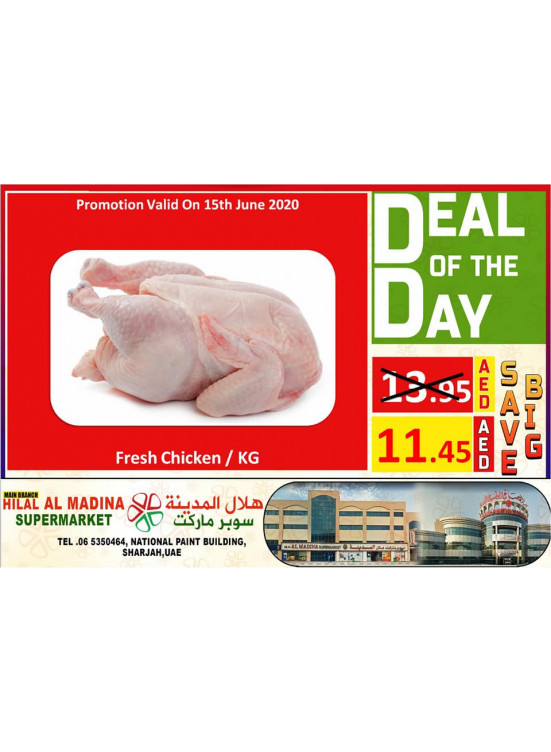 Deal of The Day - National Paints