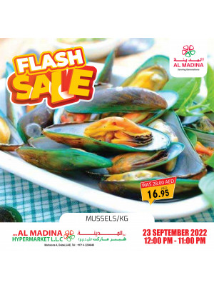 Flash Sale - Muhaisnah 4, Dubai