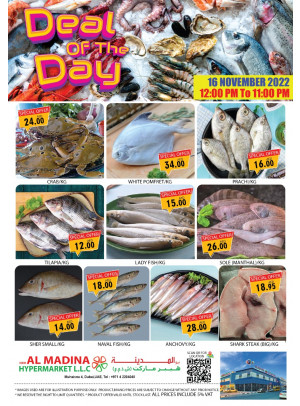 Today Deals - Muhaisnah 4, Dubai