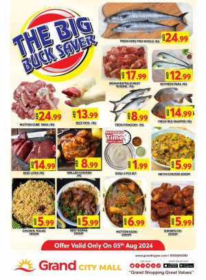 The Big Buck Saver - Grand City Mall