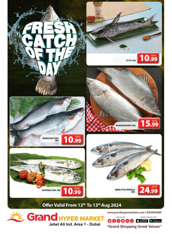 Catch of The Day - Grand Hypermarket Jebel Ali