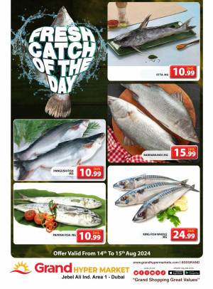 Catch of The Day - Grand Hypermarket Jebel Ali