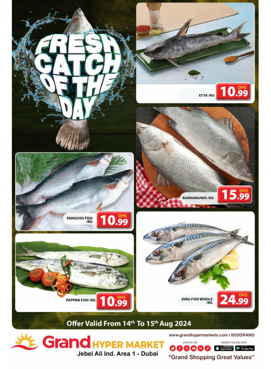 Catch of The Day - Grand Hypermarket Jebel Ali