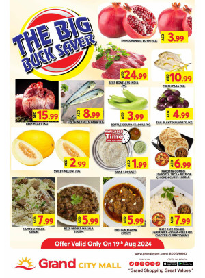 The Big Buck Saver - Grand City Mall