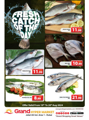 Catch of The Day - Grand Hypermarket Jebel Ali