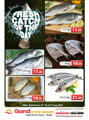 Catch of The Day - Grand Hypermarket Jebel Ali