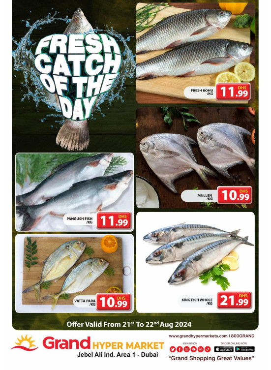 Catch of The Day - Grand Hypermarket Jebel Ali