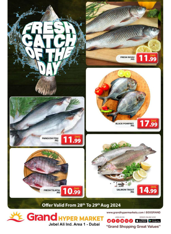 Catch of The Day - Grand Hypermarket Jebel Ali