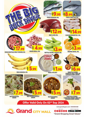The Big Buck Saver - Grand City Mall