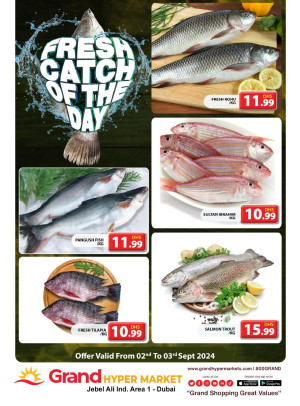 Catch of The Day - Grand Hypermarket Jebel Ali