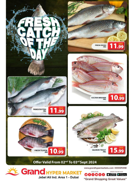 Catch of The Day - Grand Hypermarket Jebel Ali