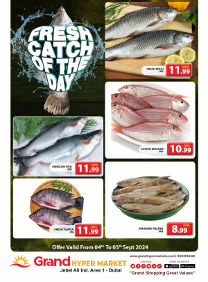 Catch of The Day - Grand Hypermarket Jebel Ali